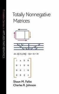 Totally Nonnegative Matrices