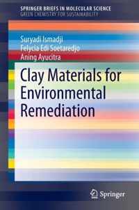 Clay Materials for Environmental Remediation