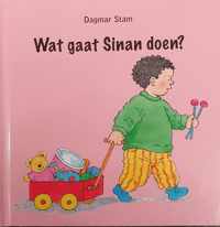 Wat gaat Sinan doen?