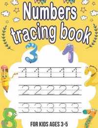 Numbers tracing book