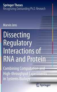 Dissecting Regulatory Interactions of RNA and Protein