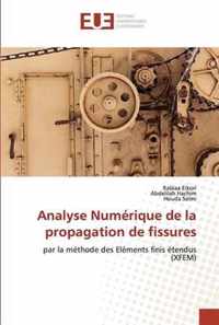 Analyse Numerique de la propagation de fissures