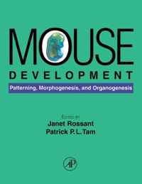 Mouse Development