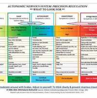 Autonomic Nervous System Table