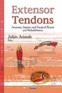 Extensor Tendons