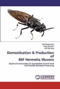 Domestication & Production of BSF Hermetia Illucens