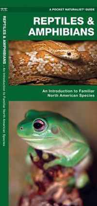 Reptiles & Amphibians