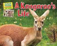 A Kangaroo's Life