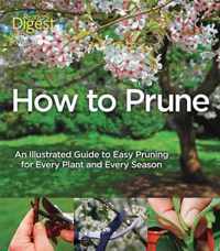 How to Prune