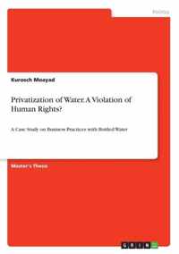 Privatization of Water. A Violation of Human Rights?