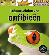 Onder de loep  -   Lichaamsdelen van amfibieën