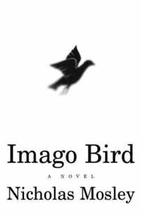 Imago Bird