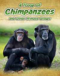 A Troop of Chimpanzees