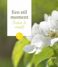 Een stil moment  -   Troost & moed