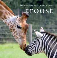 De Mooiste Uitspraken Over Troost