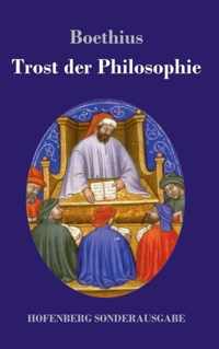 Trost der Philosophie