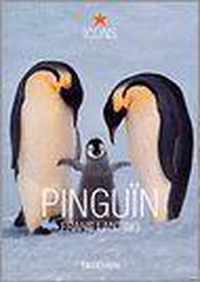 PinguÃ¯n