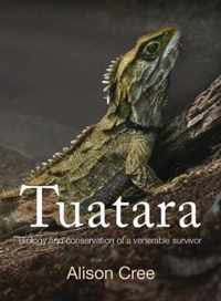 Tuatara