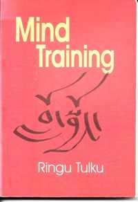 Mind Training