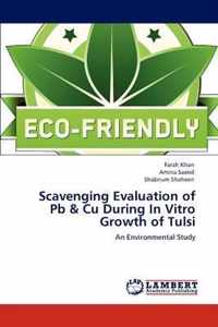 Scavenging Evaluation of Pb & Cu During In Vitro Growth of Tulsi