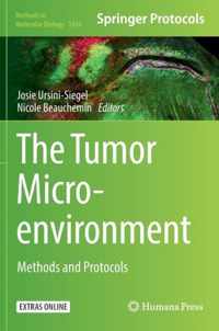 The Tumor Microenvironment