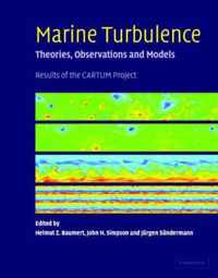 Marine Turbulence