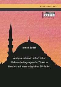 Analyse volkswirtschaftlicher Rahmenbedingungen der Turkei im Hinblick auf einen moeglichen EU-Beitritt