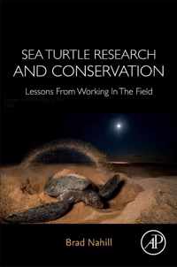 Sea Turtle Research and Conservation