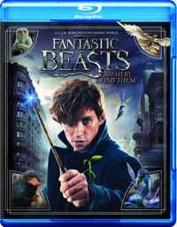 Fantastic Beasts And Where To Find Them