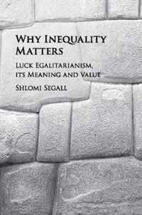 Why Inequality Matters