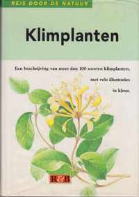 Klimplanten