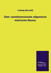 UEber zweidimensionale allgemeine metrische Raume