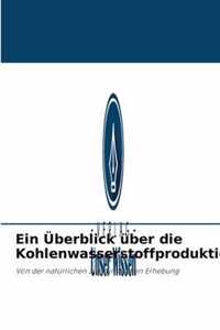 Ein UEberblick uber die Kohlenwasserstoffproduktion