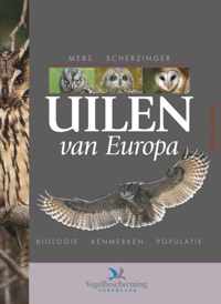 Uilen Van Europa