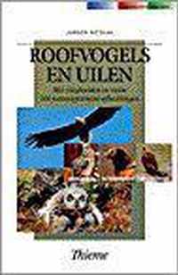 Roofvogels En Uilen