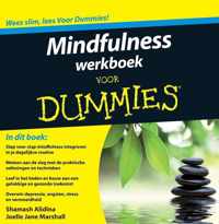 Voor Dummies - Mindfulness werkboek voor Dummies