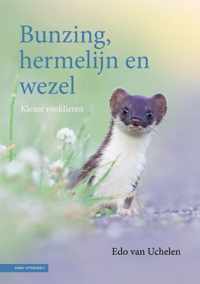 Bunzing, hermelijn en wezel