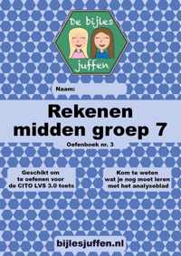 Oefenboek - CITO - rekenen - midden groep 7 - deel 3 - basisonderwijs - de bijlesjuffen - oefenen - citotoets - LVS - kinderen - boeken - leren - school - werkboek - meer dan 100 opdrachten - Einstein