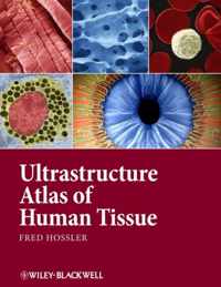 Ultrastructure Atlas of Human Tissues