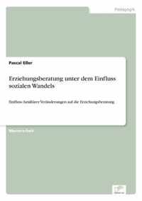 Erziehungsberatung unter dem Einfluss sozialen Wandels