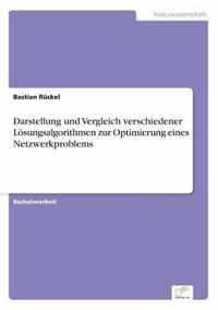 Darstellung und Vergleich verschiedener Loesungsalgorithmen zur Optimierung eines Netzwerkproblems