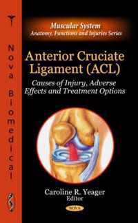 Anterior Cruciate Ligament (ACL)