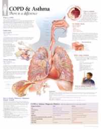 COPD & Asthma Paper Poster