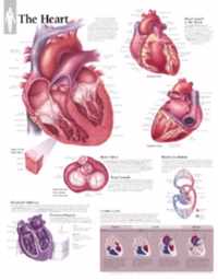 Heart Paper Poster