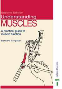 Understanding Muscles