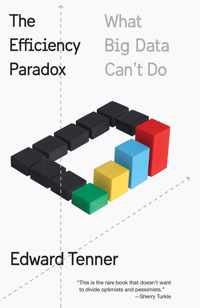 The Efficiency Paradox: What Big Data Can't Do