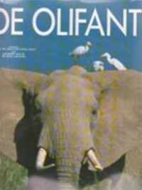 Olifant