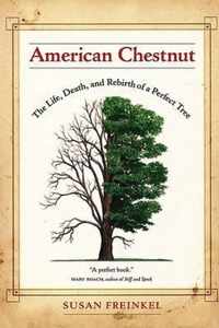 American Chestnut