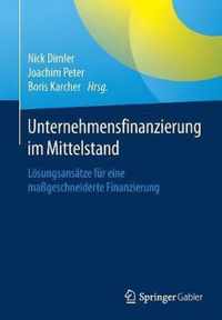 Unternehmensfinanzierung Im Mittelstand: Lösungsansätze Für Eine Maßgeschneiderte Finanzierung