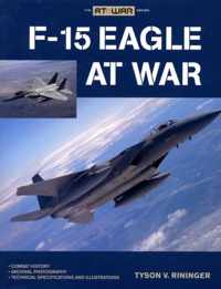 F-15 Eagle at War